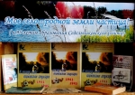 «Моё село – земли родной частица» (к 95-летию образования Седельниковского района)